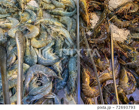 Frozen shrimps or prawns for sale at groceries Frozen shrimps or prawns for sale at groceries 72693793