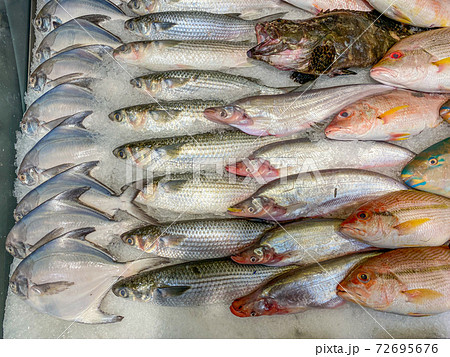 Fish good arrangement frozen on ice at seafood Fish good arrangement frozen on ice at seafood 72695676
