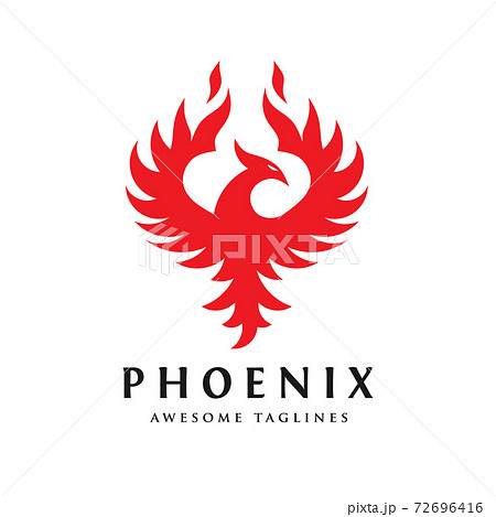 Luxury phoenix logo concept, best phoenix bird logo design, phoenix vector logo Luxury phoenix logo concept, best phoenix bird logo design, phoenix vector logo 72696416