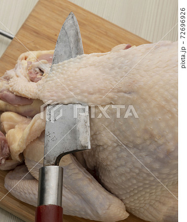鶏肉 鶏肉 72696926