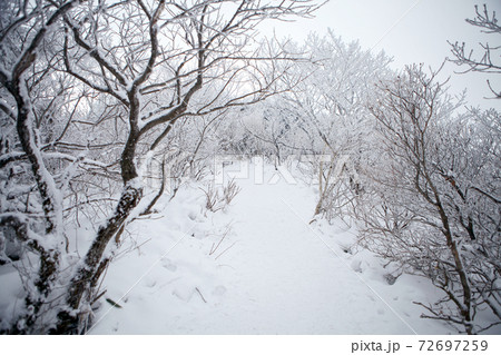 冬 山 雪景色 72697259