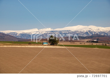 春の畑と雪山 春の畑と雪山 72697701