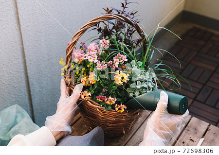 寄せ植え作り 趣味 冬の園芸イメージ の写真素材