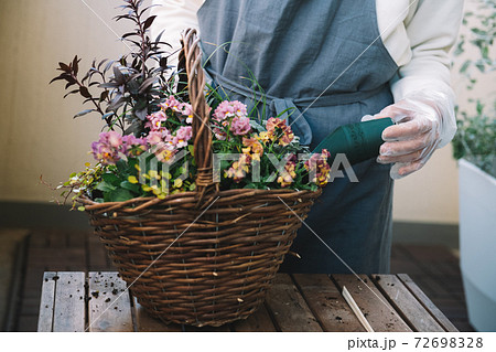 寄せ植え作り 趣味 冬の園芸イメージ の写真素材