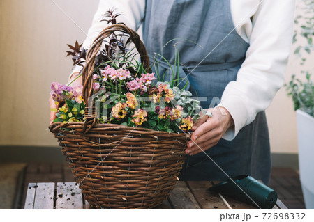 寄せ植え作り 趣味 冬の園芸イメージ の写真素材