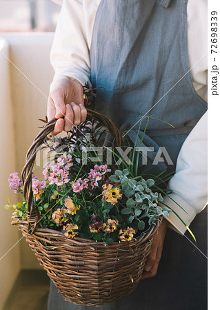 寄せ植え作り・趣味・冬の園芸イメージ 寄せ植え作り・趣味・冬の園芸イメージ 72698339