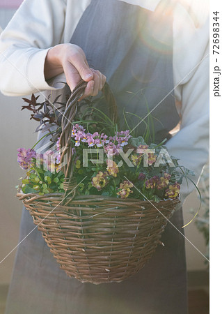 寄せ植え作り 趣味 冬の園芸イメージ の写真素材