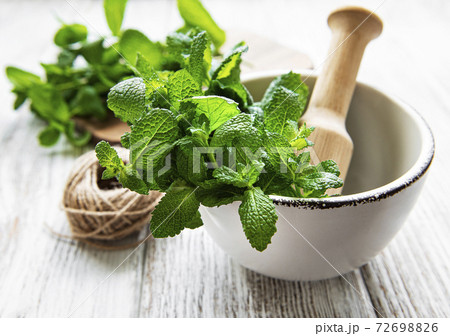 Fresh green mint in mortar on white wooden background Fresh green mint in mortar on white wooden background 72698826