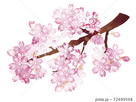 春 さくら 桜 花 手描き 水彩 背景 イラスト素材のイラスト素材