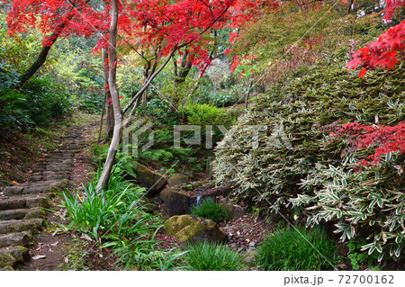 紅葉 三渓園 横浜 紅葉 三渓園 横浜 72700162