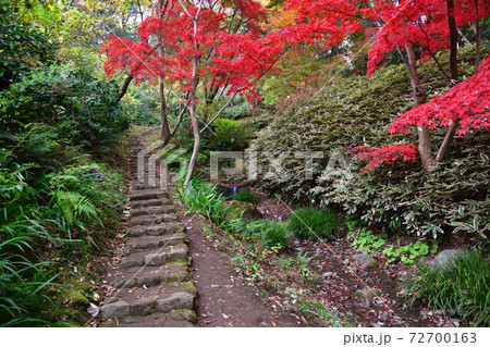 紅葉 三渓園 横浜 紅葉 三渓園 横浜 72700163