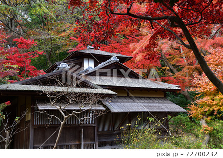 紅葉 三渓園 横浜 紅葉 三渓園 横浜 72700232