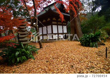 紅葉 三渓園 横浜 紅葉 三渓園 横浜 72700454