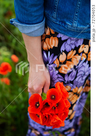 A young girl holds a bouquet of beautiful red poppies in her hand. Close-up. Summer day, vacation, rest. A young girl holds a bouquet of beautiful red poppies in her hand. Close-up. Summer day, vacation, rest. 72704053