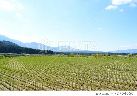 阿蘇の風景 阿蘇の風景 72704656