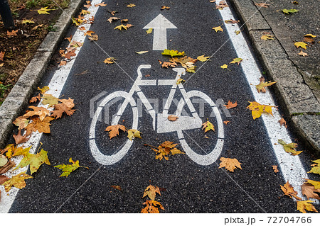 Close-up of one-way bicycle lane when leaves are falling. Shot taken in Brescia, Italy. 72704766