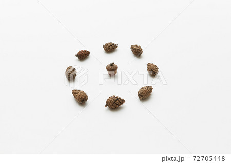 Acorn in circle of cones Acorn in circle of cones 72705448