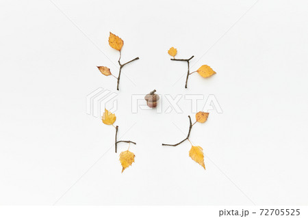 Composition with acorn and leaves Composition with acorn and leaves 72705525