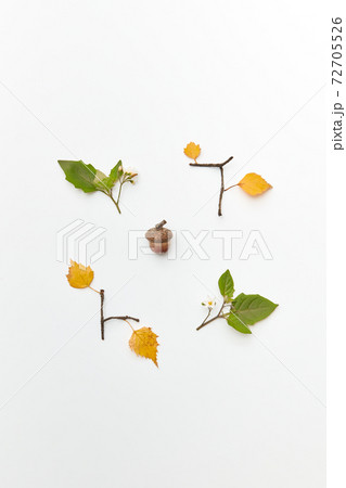 Frame with acorn and leaves Frame with acorn and leaves 72705526
