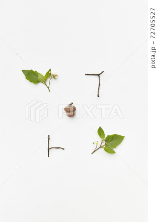 Autumnal composition with acorn and leaves Autumnal composition with acorn and leaves 72705527