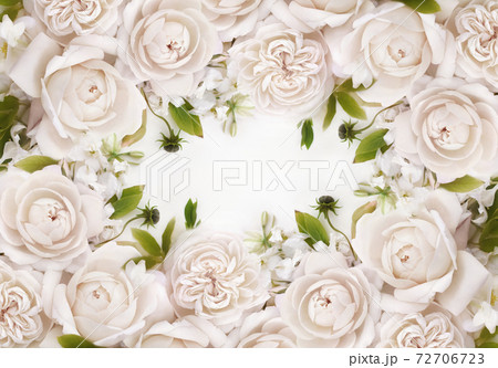 Delicate blossoming pink rose frame, blooming flowers pastel festive background, soft bouquet floral card, toned Delicate blossoming pink rose frame, blooming flowers pastel festive background, soft bouquet floral card, toned 72706723