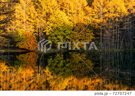 （長野県）紅葉の御射鹿池 72707247