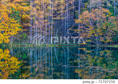 (長野県)紅葉の御射鹿池 (長野県)紅葉の御射鹿池 72707256