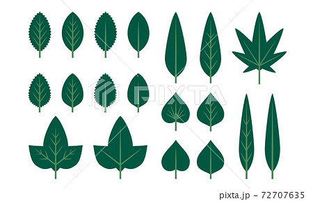 葉っぱ セット ベクター 素材 濃い緑のイラスト素材