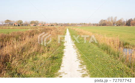 Bike trail in the dutch landscape (Friesland) 72707742