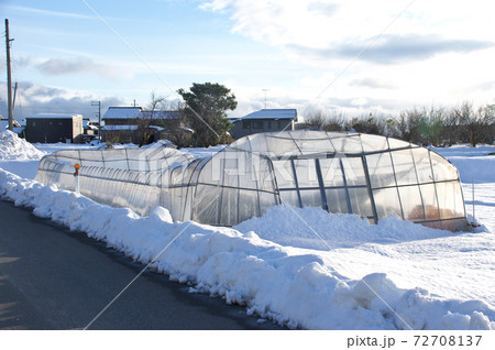 積雪で倒壊したビニールハウス 72708137