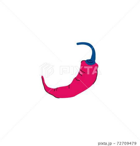 Red hot pepper isolated on white background. Chili spice 72709479