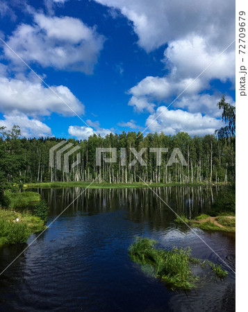 Beautiful sunny riverscape with green birch trees and cloudy blue sky  72709679