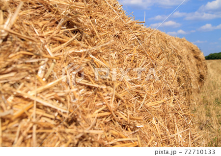 Golden straw stubble field in autumn 72710133