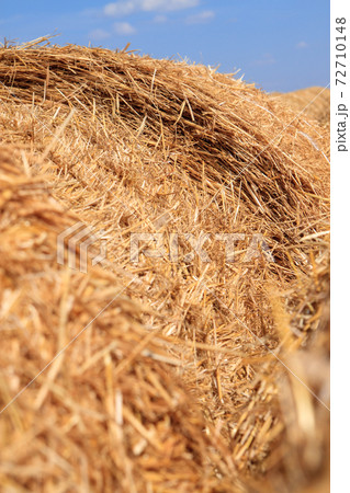 Golden straw stubble field in autumn Golden straw stubble field in autumn 72710148