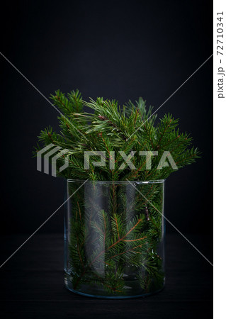 Spruce tree branches in glass, dark moody card, zero waste Christmas concept Spruce tree branches in glass, dark moody card, zero waste Christmas concept 72710341