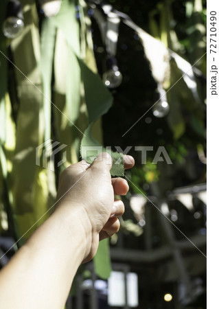 Hanging colorful fabric decorated in the garden Hanging colorful fabric decorated in the garden 72710490