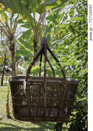Weave basket hanging in the fruit garden Weave basket hanging in the fruit garden 72710497