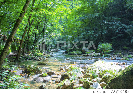 【山梨県】夏の本谷川渓谷 【山梨県】夏の本谷川渓谷 72710505