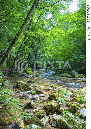 【山梨県】夏の本谷川渓谷 【山梨県】夏の本谷川渓谷 72710508