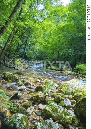 【山梨県】夏の本谷川渓谷 【山梨県】夏の本谷川渓谷 72710510