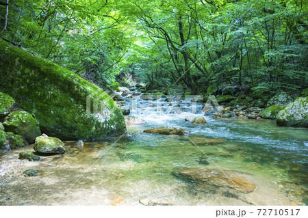 【山梨県】夏の本谷川渓谷 72710517