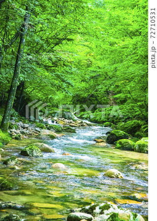 【山梨県】夏の本谷川渓谷 【山梨県】夏の本谷川渓谷 72710531