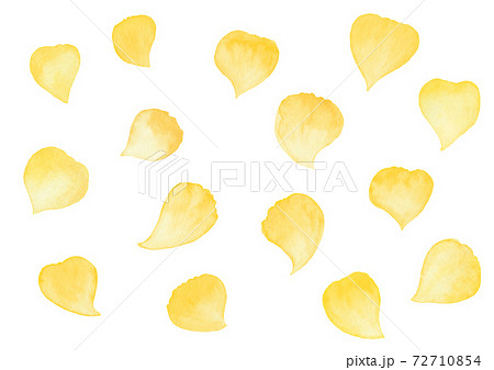黄色の花びら 水彩イラストのイラスト素材