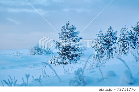 Beautiful Christmas landscape Beautiful Christmas landscape 72711770