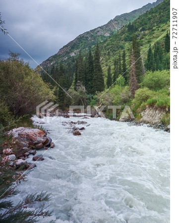 alley with river and forest 72711907