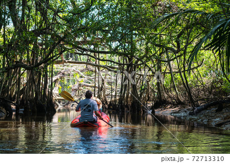 Tourist enjoy Little amazon by canoe, Phang Nga 72713310
