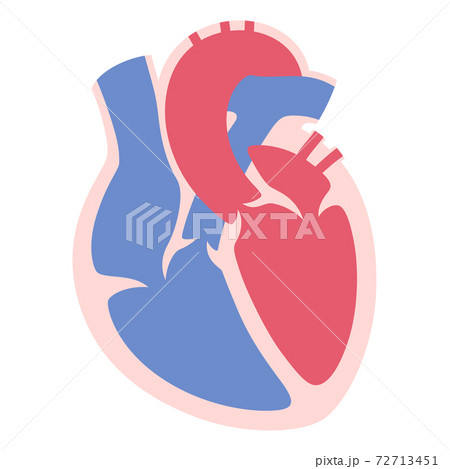 心臓のイラスト 断面のイラスト素材