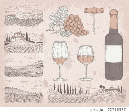 Wine manufacturing set with vineyards, engraved vector illustration isolated. 72716577