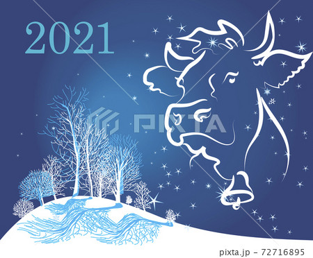new year card congratulations with the symbol of 2021 cow 72716895