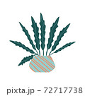 Funny cartoon flat vector house plant in pot 72717738